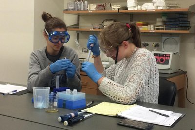 Biomedical Research Bootcamp (Grades 10-12)