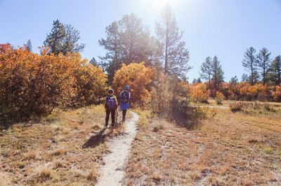 Camp Backcountry Off-Season: Spring Break Nature Camp