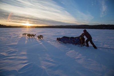 Boundary Waters – Dog Sled & Cross Country Ski