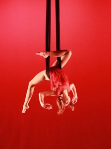 Single Day Aerial Camps