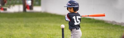 2026 Fall Baseball League - Soaring Heights PK-8
