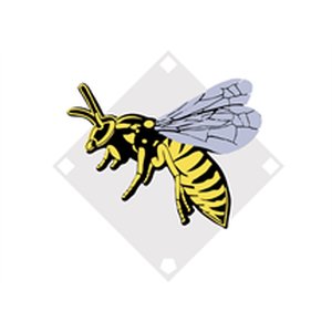 Youth Softball & T-Ball