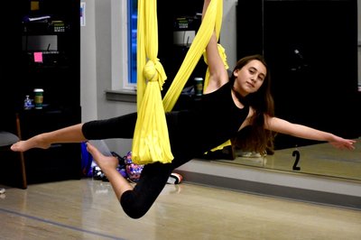 Aerial Hammock