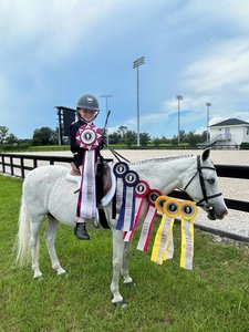 Riding Lessons